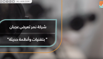 شركة