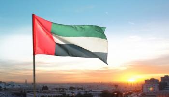 علم دولة الإمارات 