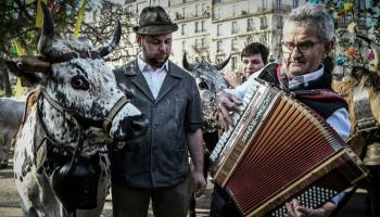 عرض للمواشي ينقل الحياة الريفية لباريس 