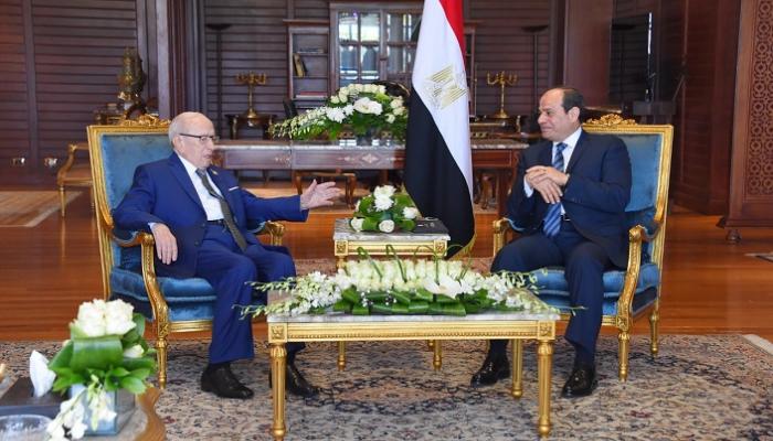 جانب من لقاء السيسي مع الرئيس التونسي