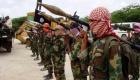 مقتل 20 إرهابيا من الشباب الصومالية في غارة أمريكية 