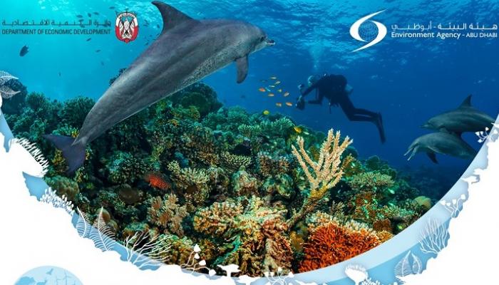 "الأسبوع الأزرق" في أبوظبي يحتفي بالتقاليد البحرية الإماراتية