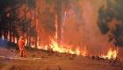 بالصور.. البرق يشعل 100 حريق في ولاية أسترالية 