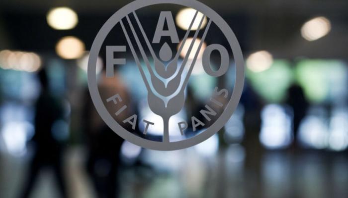 شعار منظمة الأغذية والزراعة للأمم المتحدة
