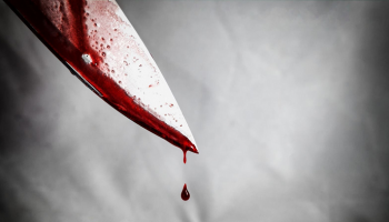 الشرطة عثرت على أداة الجريمة في سلة مهملات
