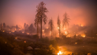 طوارئ في كاليفورنيا لمواجهة موسم حرائق الغابات