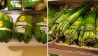 وداعا للبلاستيك.. محل في تايلاند يستخدم أوراق الموز لتغليف المنتجات