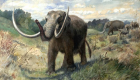 بالصور.. اكتشاف نوع جديد من أشباه الفيلة انقرض قبل 3 آلاف عام