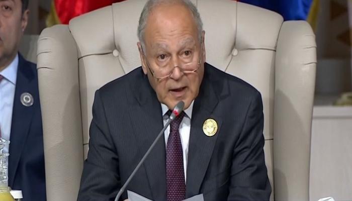 الأمين العام لجامعة الدول العربية أحمد أبو الغيط