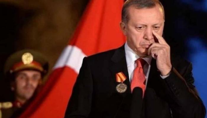 الرئيس التركي رجب طيب أردوغان - أرشيفية
