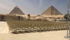 مصر تكشف عن كواليس قرعة كأس أمم أفريقيا