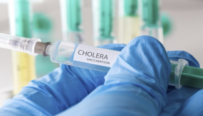 بكتيريا عمرها 100 عام تكشف أدلة جديدة عن الكوليرا