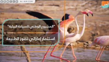 "المشروع الوطني للسياحة البيئية".. الإمارات تستثمر كنوز الطبيعة