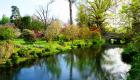 بالصور.. "نينفا" الحديقة الأكثر رومانسية في العالم