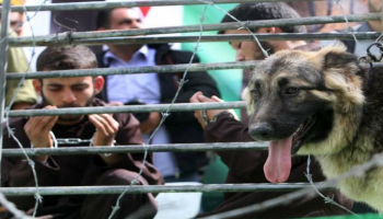 أسرى فلسطينيون في سجون الاحتلال الإسرائيلي