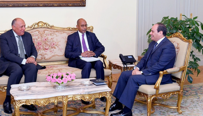 السيسي والمدير التنفيذي لوكالة الاتحاد الأفريقي للتنمية