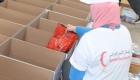 الهلال الأحمر الإماراتي يوزّع مساعدات غذائية على المحتاجين في مصر