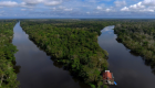 "بروفيدانس".. نظام يراقب التنوع الحيوي في الأمازون