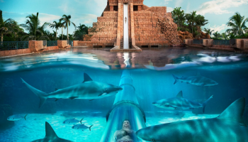 مدينة Aquaventure للملاهي المائية