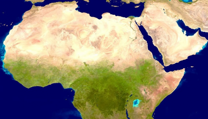 أفريقيا فرصة والصينيون ينافسون على السعر فقط