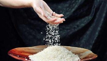 العراق يشتري 120 ألف طن من الأرز الأمريكي