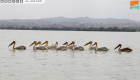 بالصور.. بحيرة "تانا" وجهة  السياح المفضلة في إثيوبيا