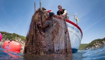 انتشال شباك الصيد من قاع البحر في اليونان