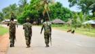  مقتل 16 شخصا في كمين لمسلحين بموزمبيق