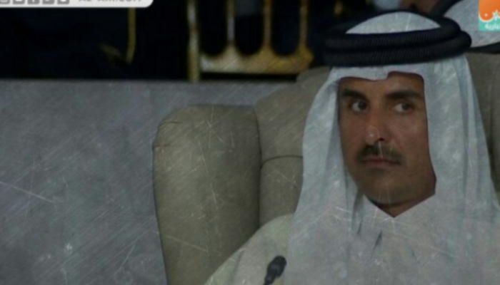 تميم بن حمد أمير قطر