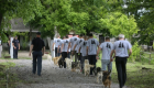 الكلاب الضالة "تؤهل" السجناء في صربيا