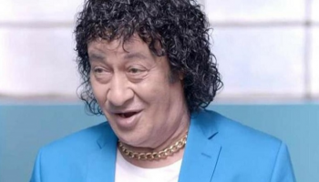 الفنان المصري محمد نجم
