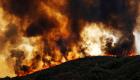 حريق في غابات كاليفورنيا يلتهم 40 فدانا