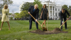 موت شجرة الصداقة الأمريكية الفرنسية في البيت الأبيض