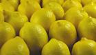بـ100 جنيه للكيلو.. الليمون يشعل سوق الخضراوات في مصر