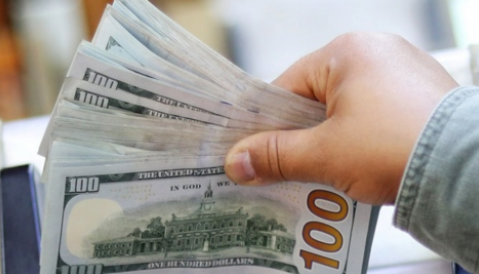 سعر الدولار في مصر