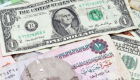 سعر الدولار يفقد 30 قرشا أمام الجنيه المصري الأسبوع الماضي