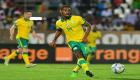 لاعب جنوب أفريقيا يؤكد جاهزية "الأولاد" لمواجهة "الأفيال"