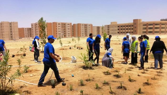 مصري يزرع 45 ألف شجرة الصحراء جن ة