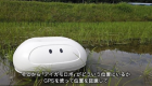 هدية نيسان لليابانيين.. "روبوت البطة" لزراعة الأرز بسهولة