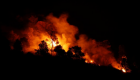حريق غابات يلتهم 10 آلاف فدان في إسبانيا
