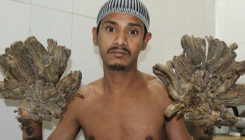 الشاب أبو البجندار