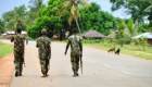 11 قتيلا في هجوم لمسلحين شمال موزمبيق