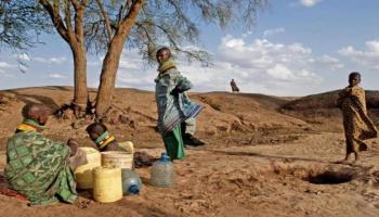 تباطؤ نمو قطاع الزراعة والغابات في كينيا 