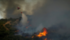 "الصندوق العالمي للحياة البرية" يحذر من تفاقم الحرائق في أوروبا