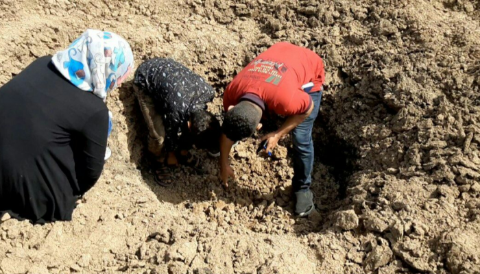 رصد سابق للجنة الوطنية اليمنية لمقذوفات حوثية استهدفت قرى تعز