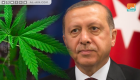 أردوغان المتحكم الأول في زراعة "الخشخاش" بتركيا