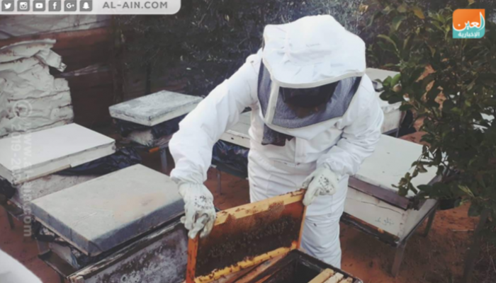  شابة تتحدى البطالة بتربية النحل في غزة  154-143657-first-young-woman-field-beekeeping-gaza_700x400