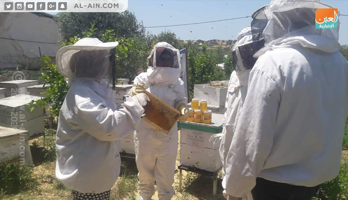  شابة تتحدى البطالة بتربية النحل في غزة  154-143658-first-young-woman-field-beekeeping-gaza-2