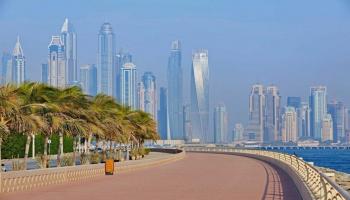 دبي تسعى لتقديم خدمات نوعية تلبي متطلبات أصحاب الهمم