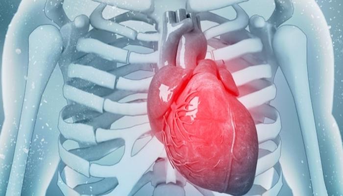 GATA6.. خلايا تحمل أملا لشفاء إصابات القلب